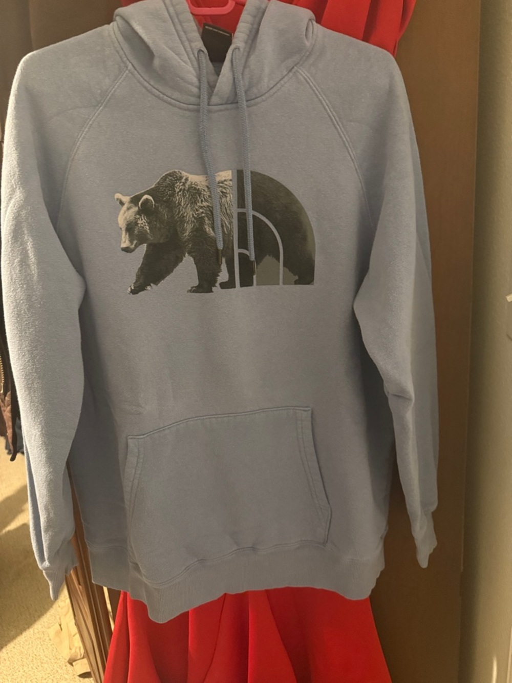 The North Face Light Blue Bear Logo Hoodie